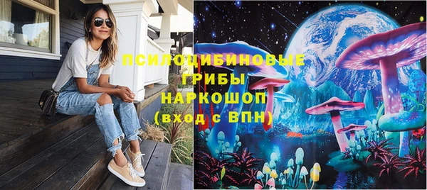 spice Рославль