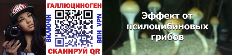 где продают наркотики  Муравленко  Галлюциногенные грибы ЛСД 
