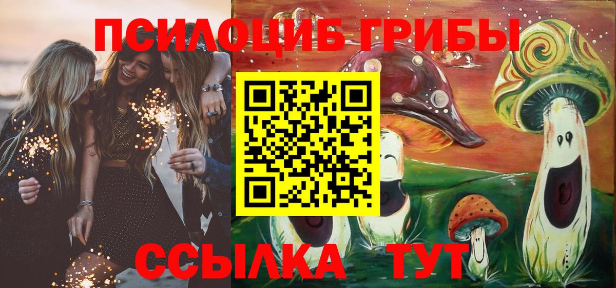 Галлюциногенные грибы GOLDEN TEACHER  Вход с VPN  Галлюциногенные грибы GOLDEN TEACHER  Муравленко 